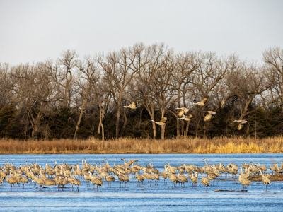 SHC24-1-Dawn-lift-off