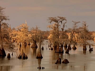 FLw26 Dead Lake FLw26 Dead Lake
