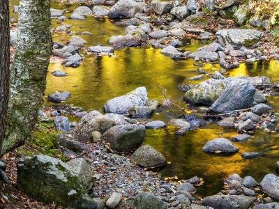 KFf202-Reeds-Brook-Falls KFf202-Reeds-Brook-Falls