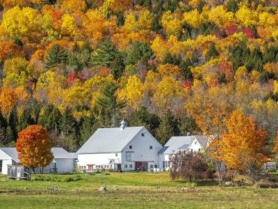 NPf9-Cole-Stream-Ranch NPf9-Cole-Stream-Ranch