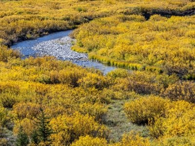 WYf25-24-Blackrock-River-near-Togwotee Pass WY WYf25-24-Blackrock-River-near-Togwotee Pass WY