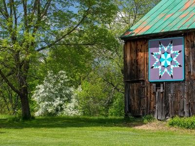 QuiltKF3-Kennedys-Barn-Kingfield_DSC1650-wk