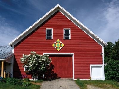 QuiltKF6-Daffodil Farm Star