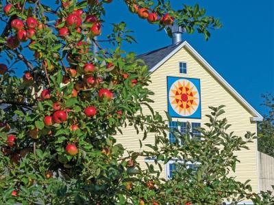 QuiltRA11-Sunrise-Farm_DSC9477-wk