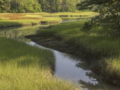 CBsu2 Cousins Island Estuary