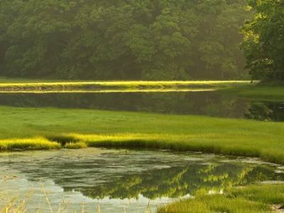 WNsu26 Little River estuary reflection