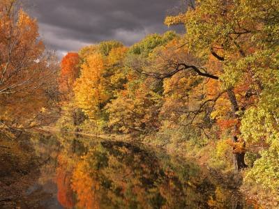 SLf108 West Branch Reflections