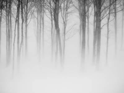 SLw344 Mosher Hill Storm