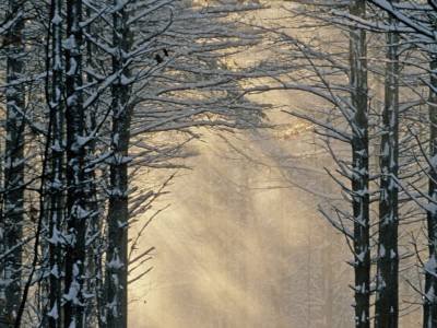 WNw3 Winter Driveway Freeport, Maine