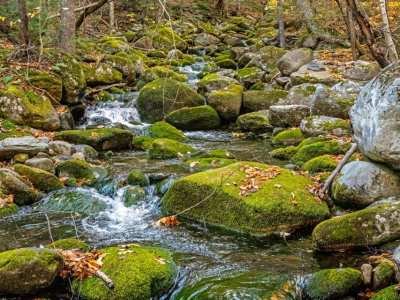 KFf131-Norton-Stream-Cascade