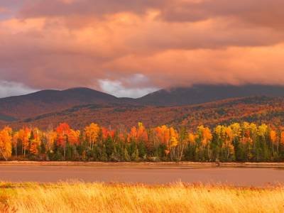SLf150 Flagstaff Foliage