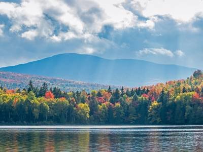 SLf426 Angel Rays. Chain Of Ponds-Bug Pond