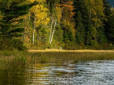 SLf428 Chain Of Ponds-Narrows