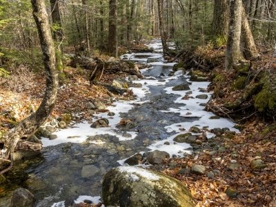 SLf616-Brook-on-Little-Bigelow-Hike