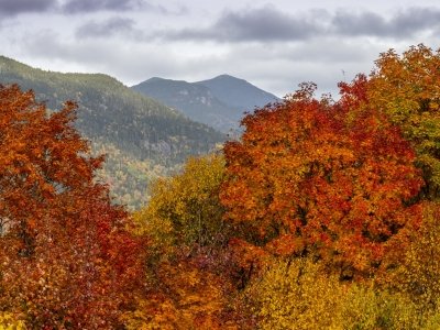 SLf637-Bigelow-Horns-from-Hedgehog-Hill
