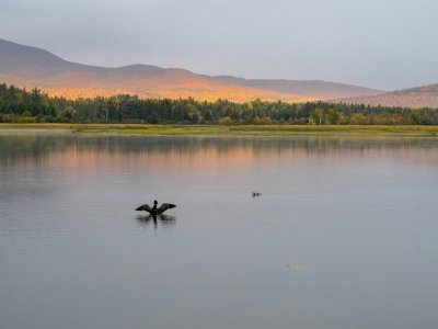 SLf651-East-Kennebago-Sunrise-with-Loon