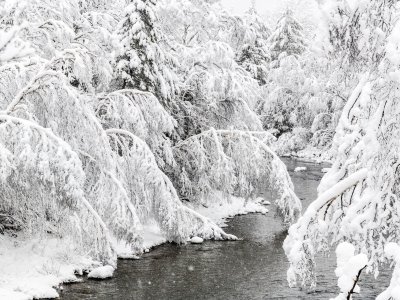SLsp110-Carrabassett-River-after-Heavy-Spring-Snowstorm