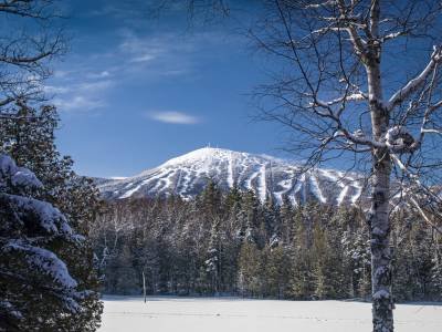 SLw263 Sugarloaf Mountain Bluebird Day