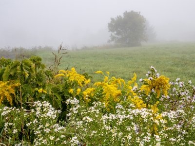 VTf25-2-Early-Morning-Fog-East Montpelier-VT