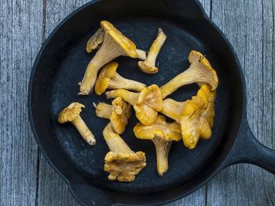 RLsu55 Chanterelles in a Pan