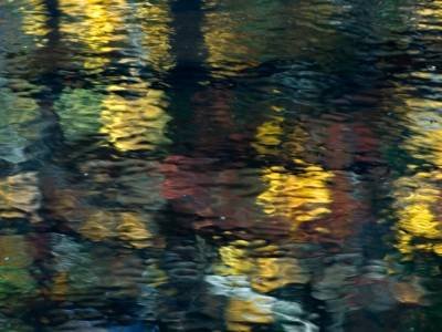 MHTf27-Poplar-Stream-Reflections