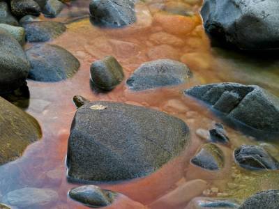 SLf227a Rapid Stream Reflection