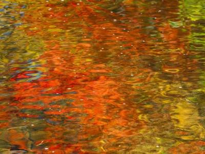SLf288 Carrabassett River Red and Green Reflection