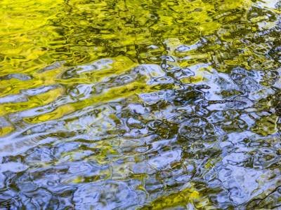 SMsp48 Spring Green-Blue Sky Reflection