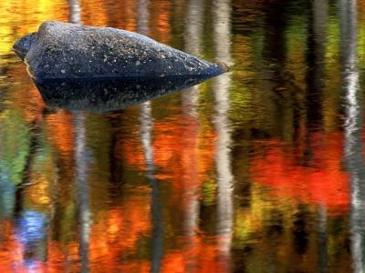 WMf4 Ellis River Rock & Birch Reflection