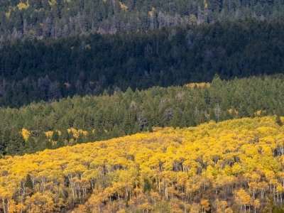 1_IDf25-19-Banded-Landscape-below-Grand-Targhee 1_IDf25-19-Banded-Landscape-below-Grand-Targhee