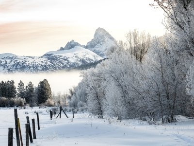 IDw22-31-Grand-Teton-Frosty-Morning IDw22-31-Grand-Teton-Frosty-Morning