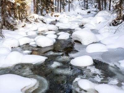 IDw23-11-Sheep-Bridge-trail-Teton-Creek IDw23-11-Sheep-Bridge-trail-Teton-Creek