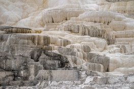 YNPsp25-44-Mammouth-Hot-Springs-Terraces YNPsp25-44-Mammouth-Hot-Springs-Terraces