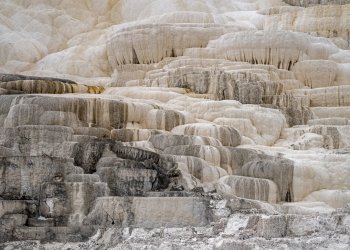 YNPsp25-44-Mammouth-Hot-Springs-Terraces