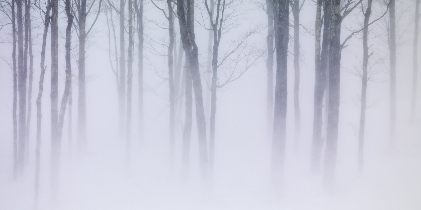 01-16-IOM-Mosher Hill Winter Storm-(SLw344)_A4494213_