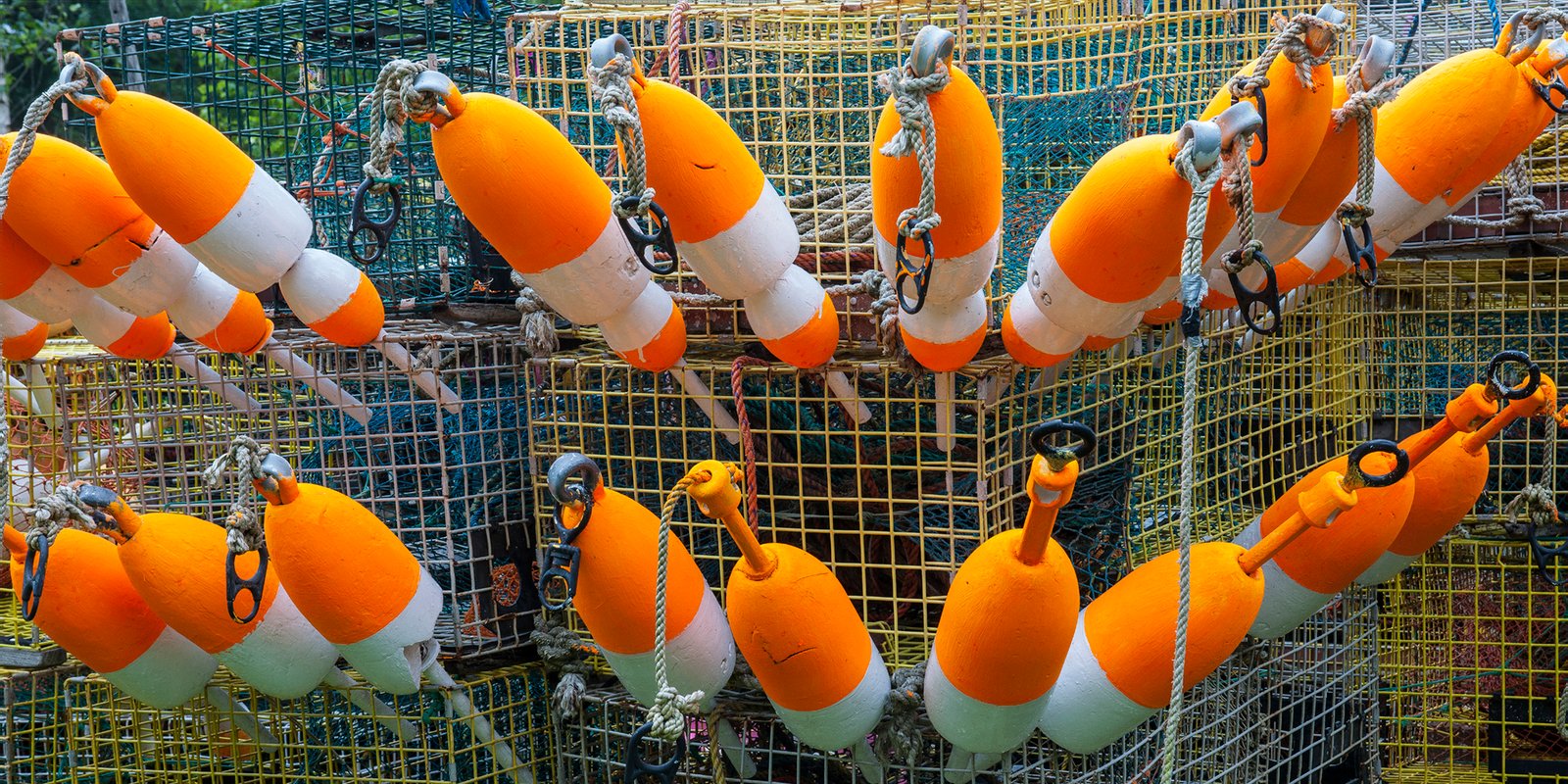 Lobster Buoys
