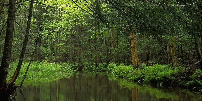 Little River, Freeport, Maine