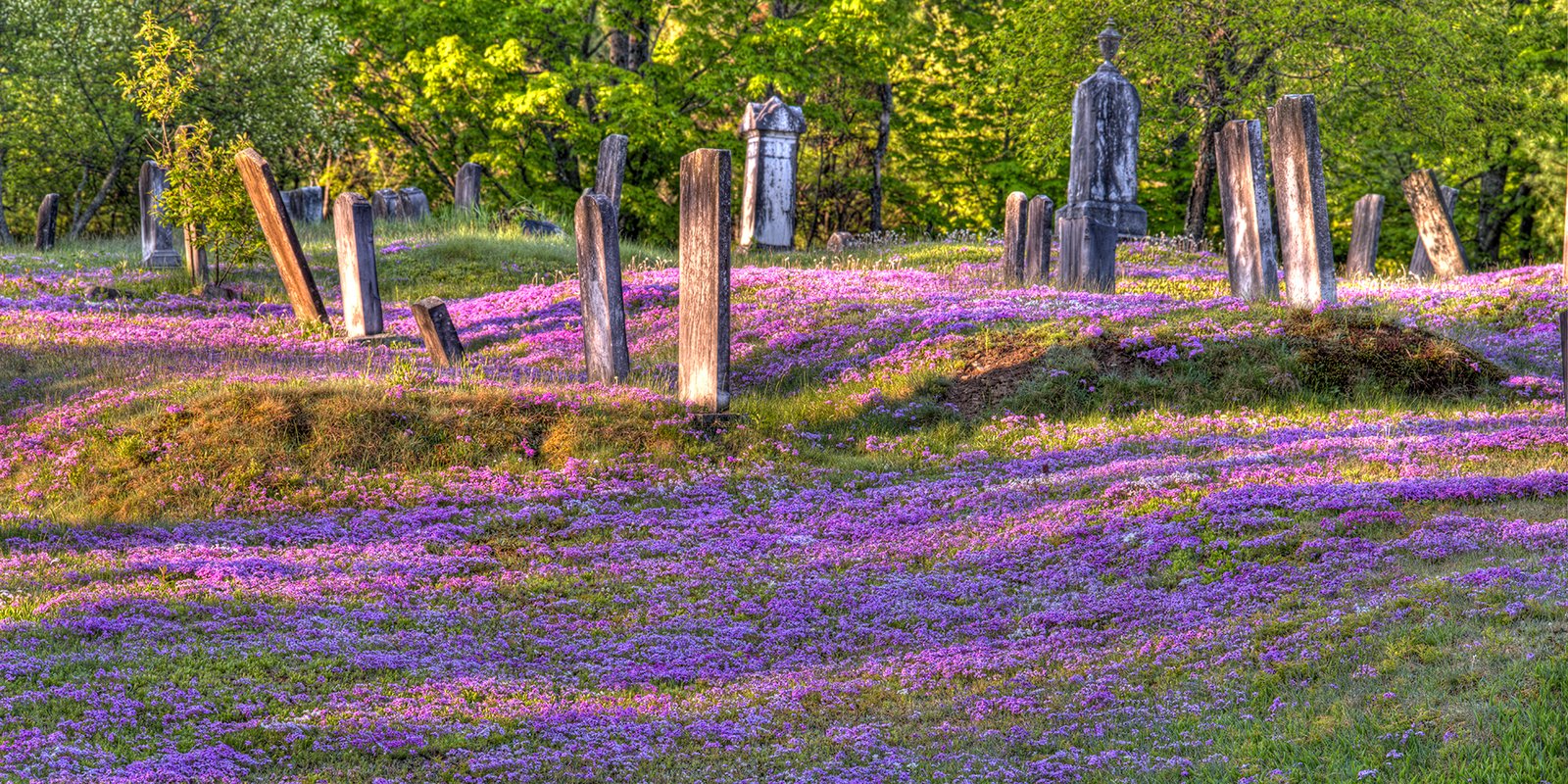05-16-IOM-New Portland Cemetery-(OVWMsp7)-HDR