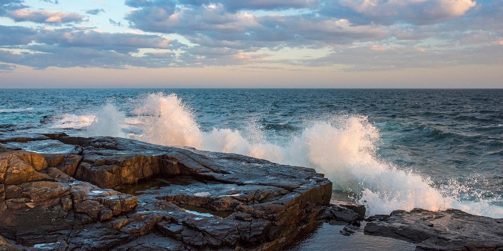 06-16-IOM-Schoodic Peninsula-(DEsp11)_DSC2051