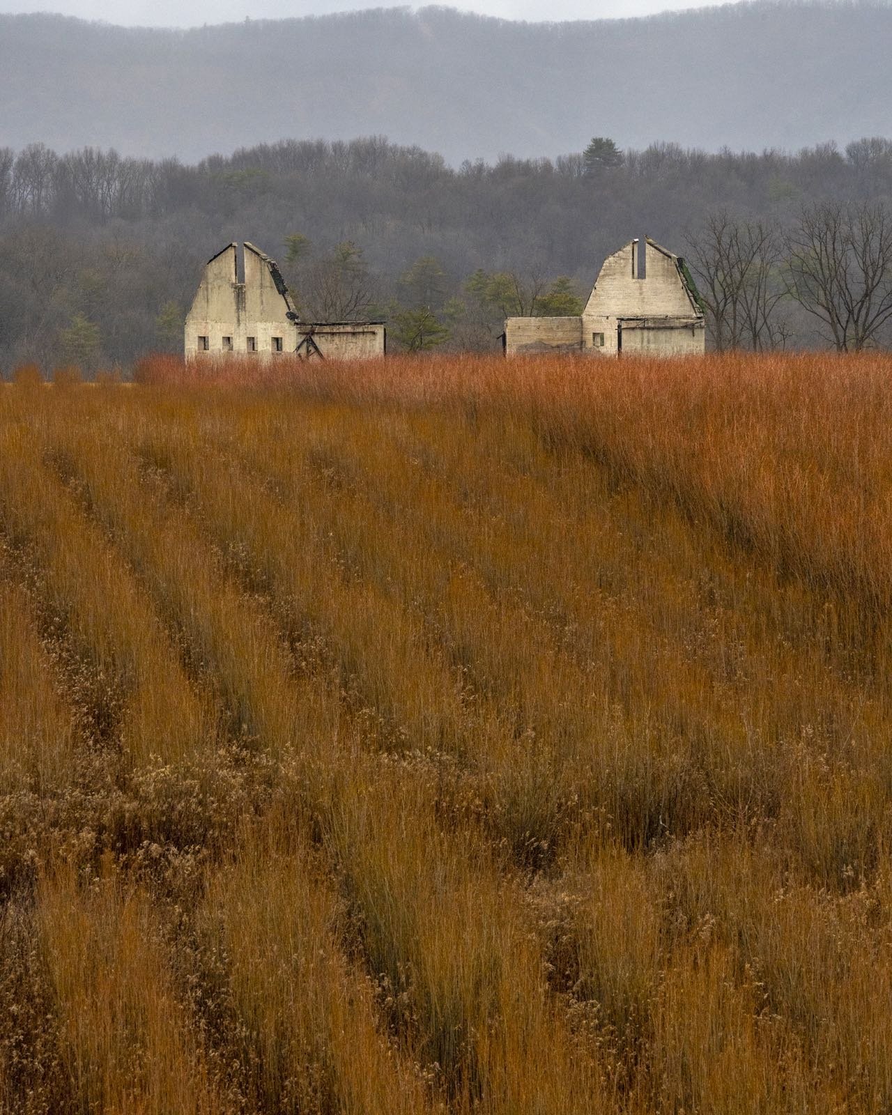 We saw these odd looking barn parts near State College, PA on our trip west. The center walls and the roof structure have been removed, leaving the “bookend” end walls still in place. Couldn’t resist recording this deconstructed barn scene! #statecollegepa #deconstructedbarn #orcuttphotography #ruralphotography #centralpaphotography