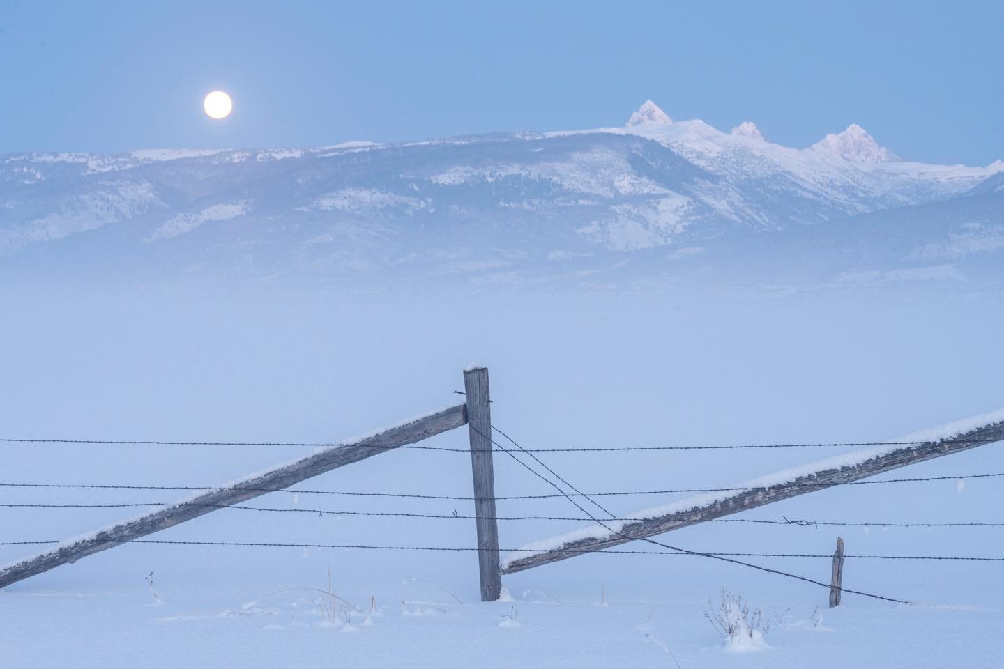 Full moon, Teton Mountains, winter fog and a zig-zag fence compose the scene in the front of our Teton Valley, Idaho home this winter. We love the wide open landscape and expansive vistas of this fascinating valley. #tetonvalley #tetonmountainslookingeast #bestofthegemstate #orcuttphotography.danstpeter.com #wintermoon #winterfog