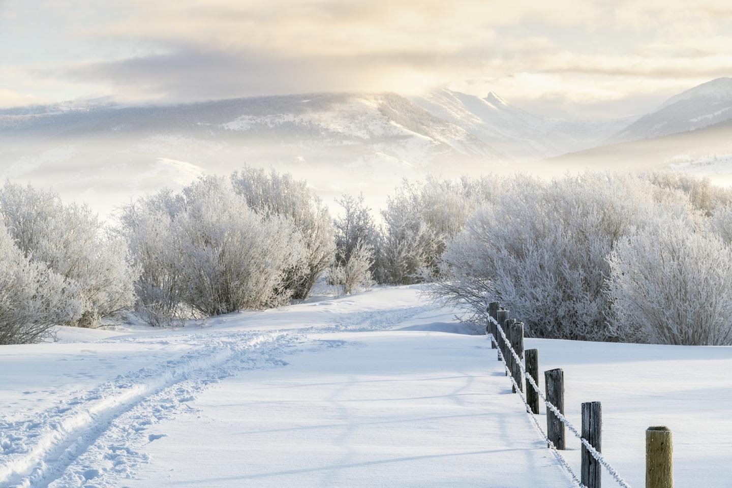 Early morning ski on the Fox Creek Road behind our Victor, Idaho winter home in Teton Vally, Idaho. Frosted stream-side plants, icy barbed wire, my ski tracks and a rising sun over the Grand Teton Mountains made this, now familiar scene, in Victor, Idaho. #tetonvalleyidaho #victoridaho #bestofthegemstate #orcuttphotography.danstpeter.com #westernwinterphotography