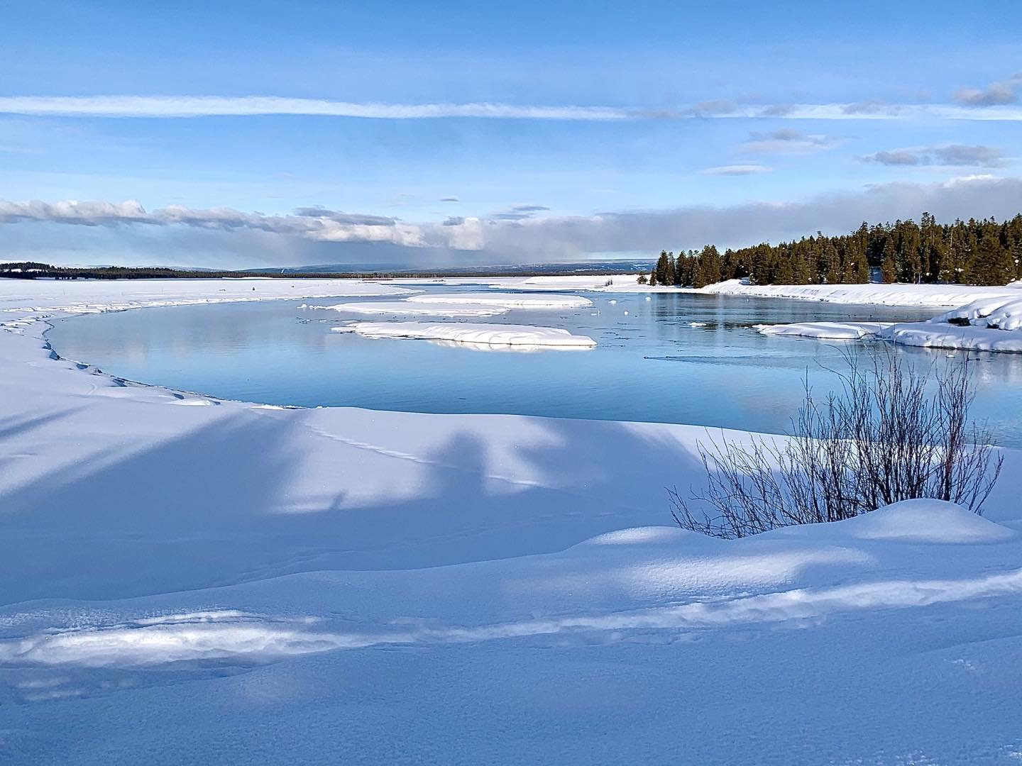 Great Nordic ski today at Harriman State Park in Island Park, Idaho today. The first part of this trail follows the fabled Henry’s Fork of the Snake River, a classic trout fishing location. We were entertained by trumpeter swans most of the afternoon! #henry’sfork #orcuttphotography #islandparkidaho #harrimanstatepark #bestofthegemstate