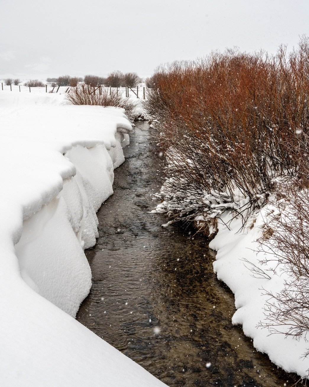 Foster Slough on the road to Fox Creek. After all the snow this past week, these small streams have ever deepening canyons. Cornices on the leeward banks provide added depth to the stream beds. #tetonvalleyidaho #fostersloughidaho #foxcreekidaho #bestofthegemstate #orcuttphotography