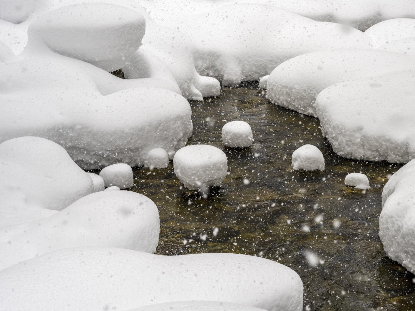 Open water with snow domes on rocks during a heavy snowfall at Teton Creek, photographed from Sheep Bridge. The simple winter landscape provides great opportunities for isolated compositions. #orcuttphotography.danstpeter.com #tetoncanyonidaho #tetoncreekidaho #sheepbridgetrail #bestofthegemstate #westernwinterphotography