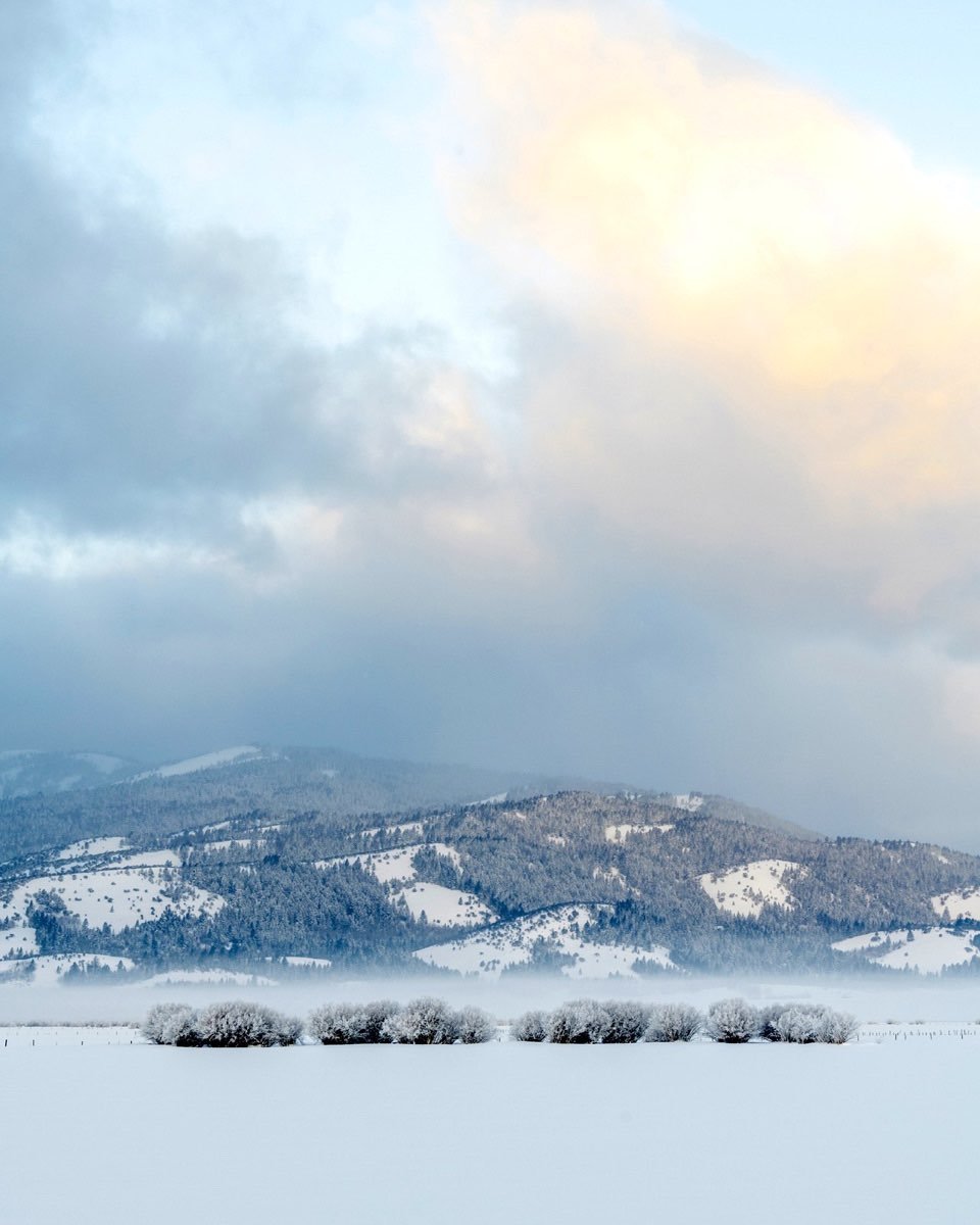 Line of distant, frosty willows at the edge of Fox Creek behind or Idaho home a few weeks ago. The vast scale of Teton Valley is expressed by the grand sky, Big Hole Mountains and the little Willow line. #bigholemountains #tetonvalleyidaho #foxcreekidaho #orcuttphotography.danstpeter.com #bestofthegemstate