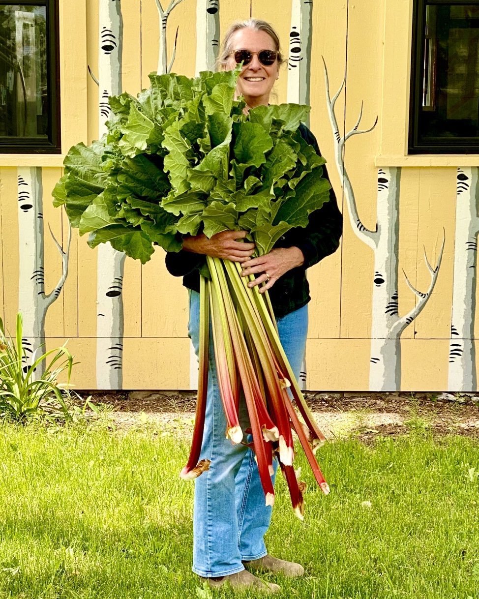 Cindy Orcutt bringing in the rhubarb from the neighborhood patch. #cindyorcutt #rhubarb #piesareready #orcuttphotography.danstpeter.com #kingfieldmaine