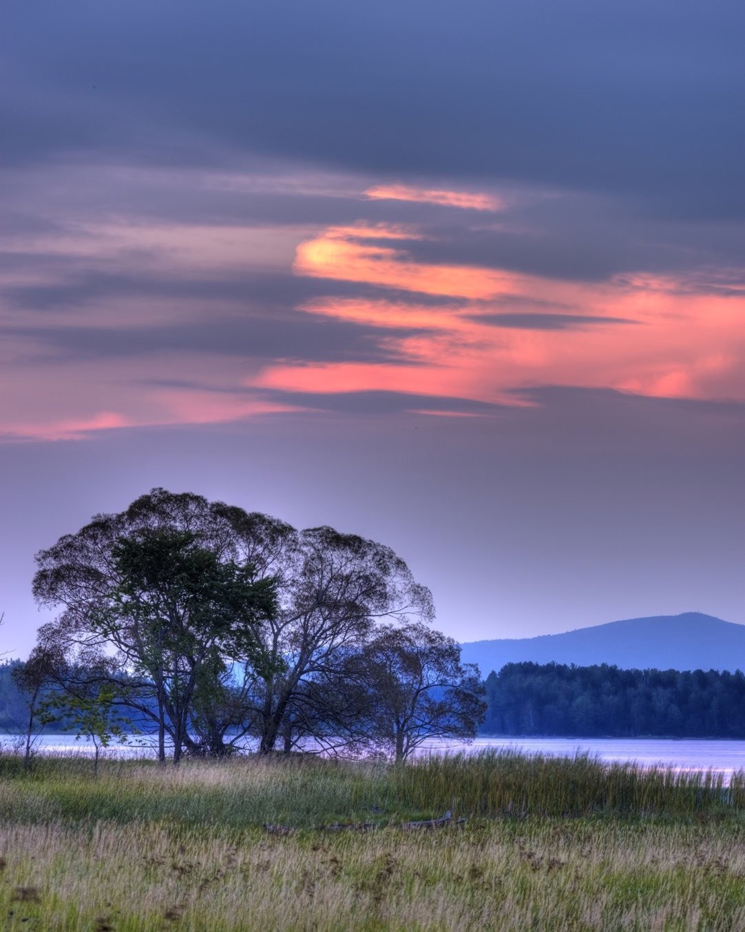 Black Willow at sunset on Flagstaff Lake, Eustis, Maine. This photo from a few years ago illustrates the transparency of the tree in silhouette in early summer. Unfortunately, it is beginning to deteriorate now with several of the main trunks fallen. #eustismaine #flagstaff lakemaine #orcuttphotography #blackwillow #sunset