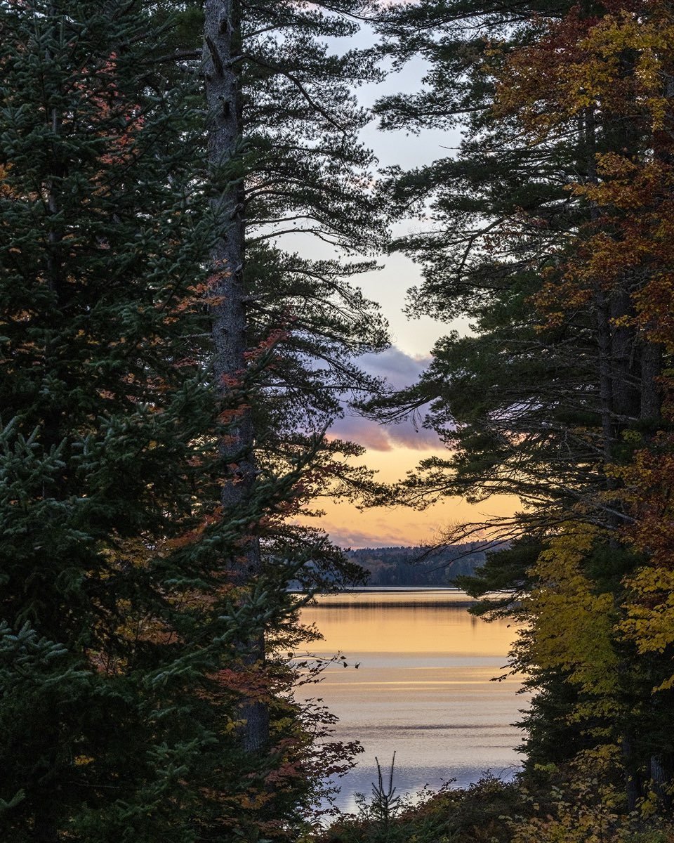 Richardson Lake, the most western lake of the Rangeley chain, seen from the front porch of Pearson’s Camp looking south. Framed by a narrow slot in the forested edge, this evening view captures the mystique of the place. #richardsonlakemaine #rangeleylakes #orcuttphotography #pearson’scamp #thenarrowsatrichardaonlake