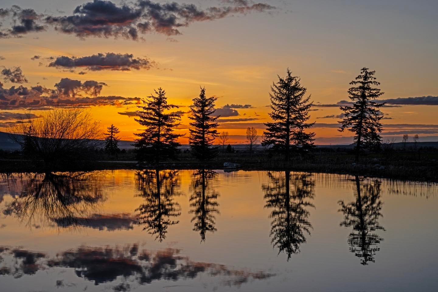 Sunset at the fire pond in our neighborhood in Driggs, Idaho. #tetonvalleyidaho #driggsidaho #bestofthegemstate #bigskyidaho #orcuttphotography.danstpeter.com